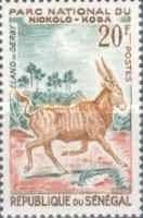 Giant Eland (Taurotragus derbianus)