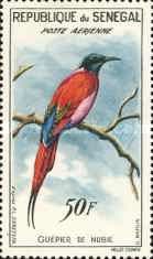 Northern Carmine Bee-eater (Merops nubicus)