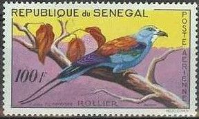Abyssinian Roller (Coracias abyssinicus)
