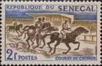 Horse Racing