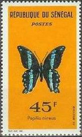 Green-banded Swallowtail (Papilio nireus)