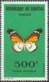 African Monarch (Danaus chrysippus)