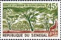 Forest Region of Senegal River