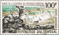 Gambia River Shore