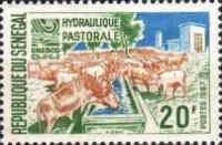 Cattle Water Trough