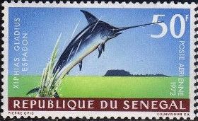 Swordfish (Xiphias gladius)