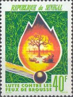Burnt Forest