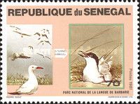 National Park “La Langue de Barbarie”