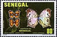 Yellow Pansy (Precis cebrene), Soldier Pansy (Junonia terea)
