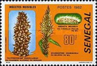 Diseases of Millet