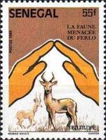 Antelope