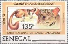 Demidoff's Dwarf Galago (Galagoides demidovii)
