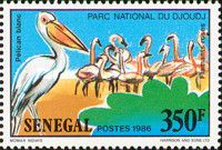 Pink-backed Pelican (Pelecanus rufescens), Greater Flamingo