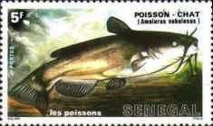 Brown Catfish (Ameiurus nebulosus)