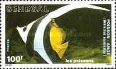 Pennant Coralfish (Heniochus acuminatus)