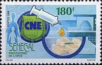 Loans. Syringe, Bank Notes and Real Estate