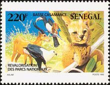 Basse Casamance