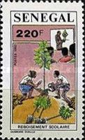 Planting on a Hill