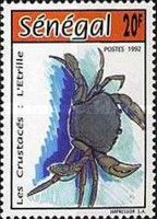 Velvet Crab (Necora puber)