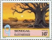 Race Route by a Baobab Tree