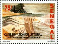 Prevention of Sand Dunes