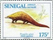 Giant Pangolin (Manis gigantea)