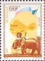 African Elephant (Loxodonta africana), Ivory Coast