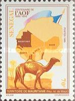 Dromedary (Camelus dromedarius), Mauretania