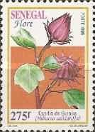 Roselle (Hibiscus sabdariffa)