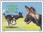 African Wild Dog (Lycaon pictus)