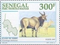 Giant Eland (Taurotragus derbianus)