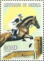 Eventing – Sally Clark (New Zealand)