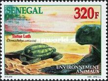 Leatherback Sea Turtle (Dermochelys coriacea)