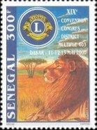 Lion (Panthera Leo)
