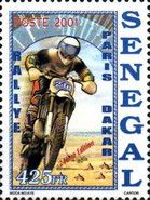 Motorcyclist and Desert View