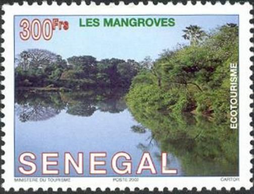 Mangroves