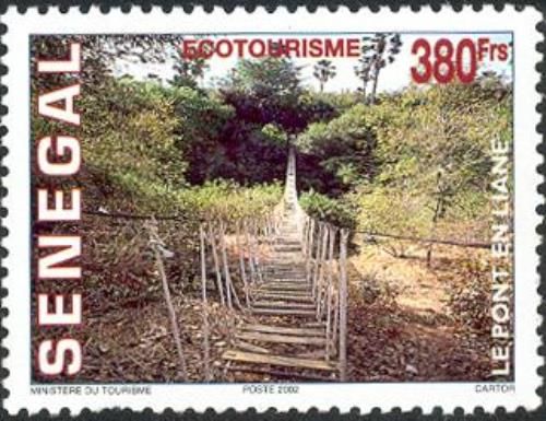 Liane Bridge