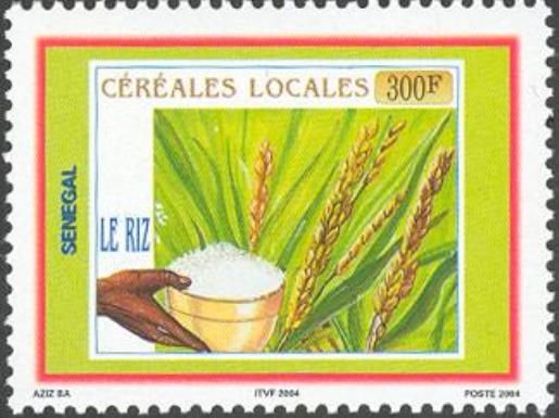 Rice