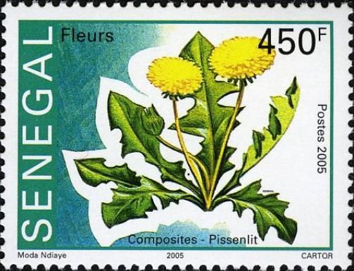 Dandelion - Composites