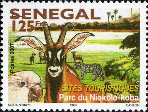 Niokola-Koba Park, Sable Antelope (Hippotragus niger)