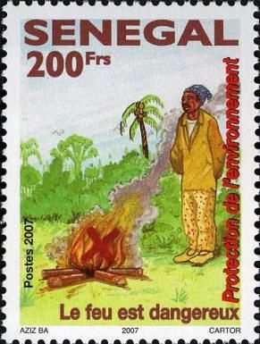 Environment & Conservation