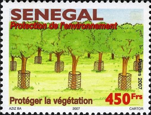 Environment & Conservation