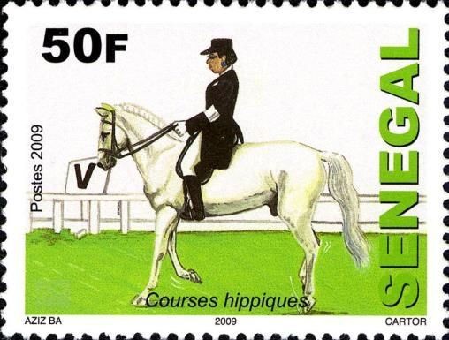Dressage
