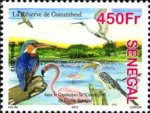 Kingfisher, Flamingo, Hornbill, Heron, Harrier