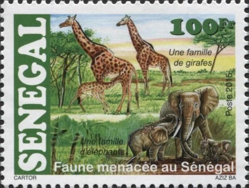 Giraffe (Giraffa camelopardalis), African Elephant (Loxodont