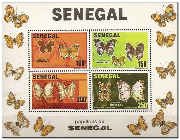 Butterflies of Senegal