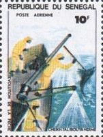 Harpoon Fishing