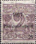 Pro fighter 1917 - overprint