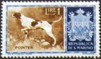 Pointer (Canis lupus familiaris)