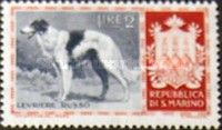 Borzoi (Canis lupus familiaris)